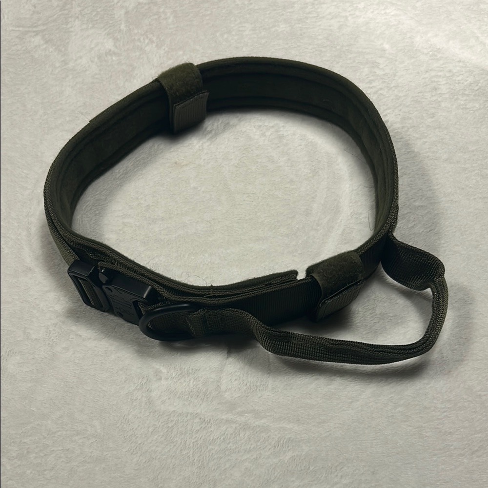 Green Adjustable Dog Collar With Handle